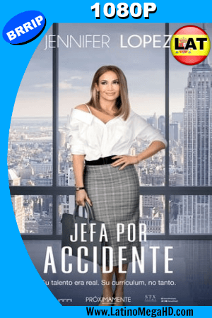 Jefa por Accidente (2018) Latino HD 1080P ()
